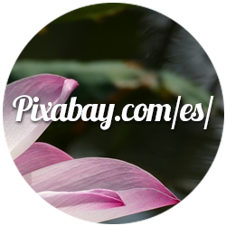 pixabay-aripasa-blog-imagenes-libres-de-derecho-de-autor-para-uso-personal-y-comercial