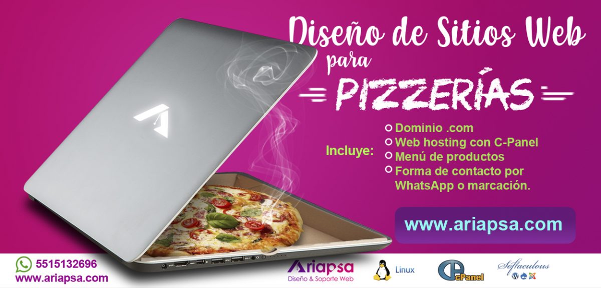 Diseño de paginas web para pizzerias ariapsa mexico
