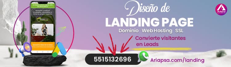 Ads Diseño de Landing Page Mexico Ariapsa