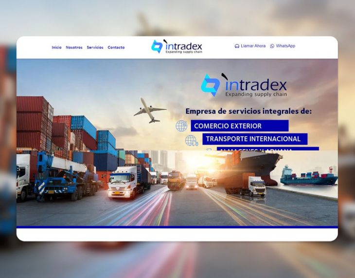 Intradex One Page Ariapsa