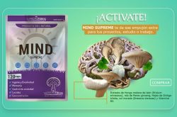 Hero Banner – Tienda online de productos a base de hongos