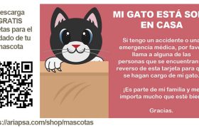 Desc Gato Tarjeta mis mascotas estan solas en casa ariapsa