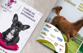 La Importancia de Tener un Catálogo de Productos o Servicios en PDF ARIAPSA diseño de catalogos PDF en México