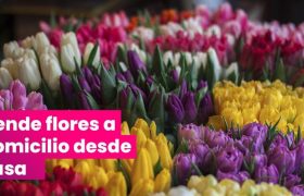 Vende Flores a Domicilio Desde Casa con tu Tienda en Línea ventajas y desventajas