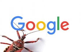 bug google virus troyano 01
